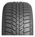 Evergreen Winter EW62 205/55 R16 91H