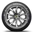 Sailun Ice Blazer Arctic 205/55 R17 91T