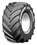 Michelin CereXbib CFO
